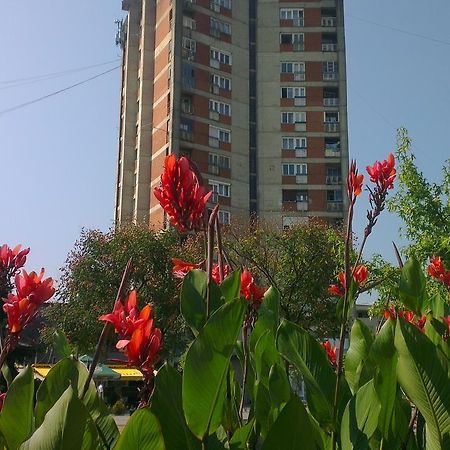 Hotel Konaciste Trstenik Kültér fotó