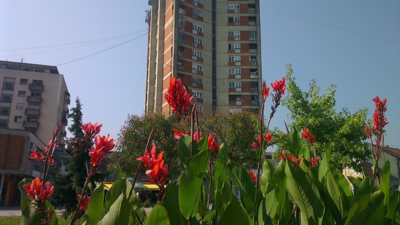 Hotel Konaciste Trstenik Kültér fotó